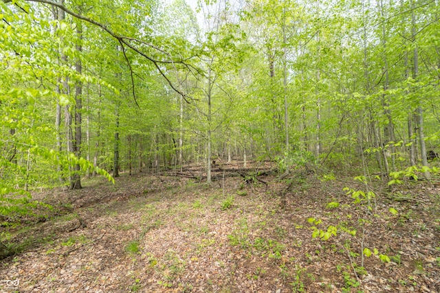 6000 W County Road 700 N, Freetown, IN 47235 - photo 15