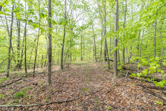 6000 W County Road 700 N, Freetown, IN 47235 - photo 4