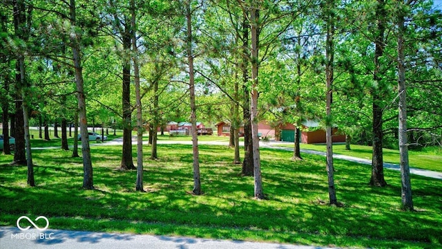 2240 Bill Smith Rd, Martinsville, IN 46151 - photo 42