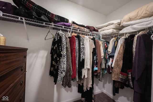 509 Tulip Tree Dr, Lapel, IN 46051 - spacious closet with carpet