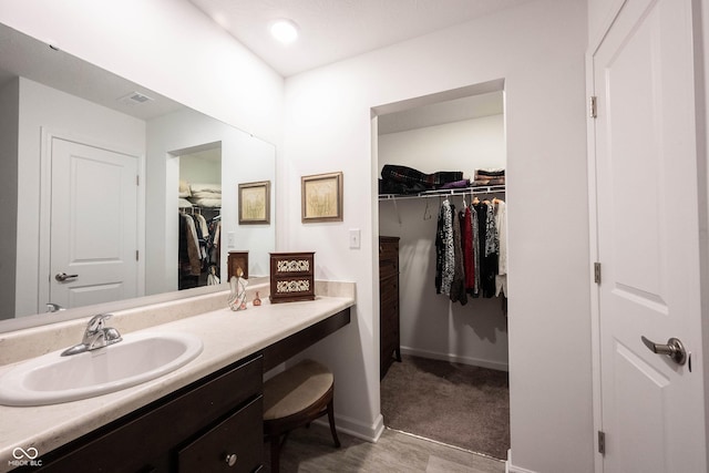 509 Tulip Tree Dr, Lapel, IN 46051 - bathroom featuring vanity, baseboards, and a walk in closet
