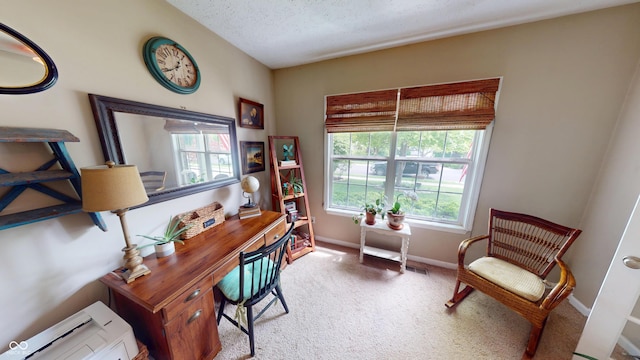 18247 Kinder Oak Dr, Noblesville, IN 46062 - carpeted home office featuring healthy amount of natural light, a textured ceiling, and baseboards