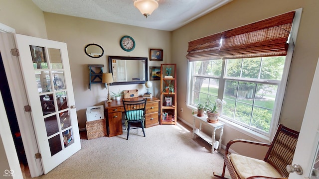 18247 Kinder Oak Dr, Noblesville, IN 46062 - office area with carpet flooring, plenty of natural light, and baseboards