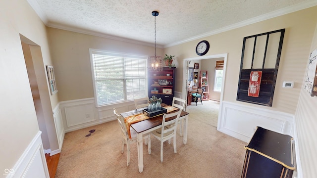 18247 Kinder Oak Dr, Noblesville, IN 46062 - dining area with a textured ceiling, wainscoting, ornamental molding, light carpet, and a decorative wall