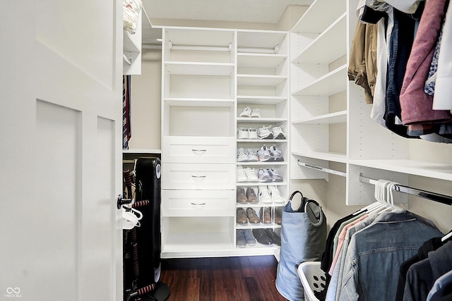 6505 Miramar Ct, Indianapolis, IN 46250 - walk in closet featuring dark wood-type flooring