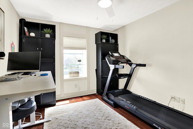 6505 Miramar Ct, Indianapolis, IN 46250 - workout area featuring dark wood-type flooring and ceiling fan