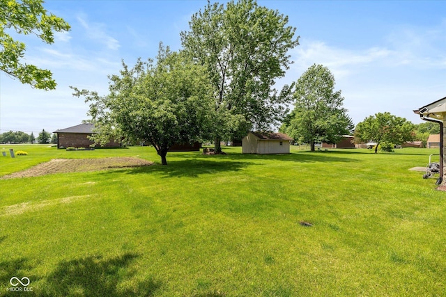 8111 Timberwood Dr, Plainfield, IN 46168 - view of grassy yard featuring an outdoor structure and a shed