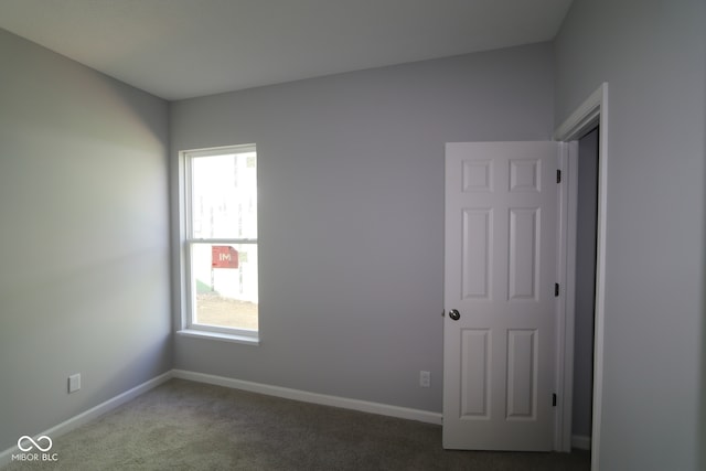 10544 Maidenhair Dr, Indianapolis, IN 46239 - unfurnished room featuring carpet, a wealth of natural light, and baseboards