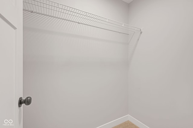 view of walk in closet