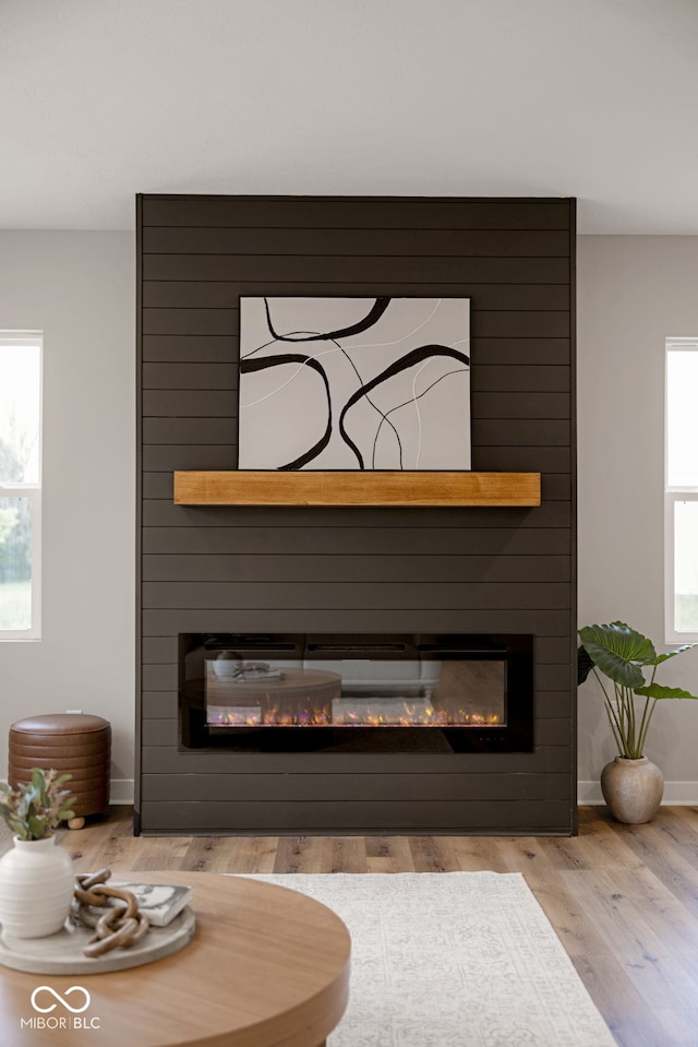 details with baseboards, a fireplace, and wood finished floors