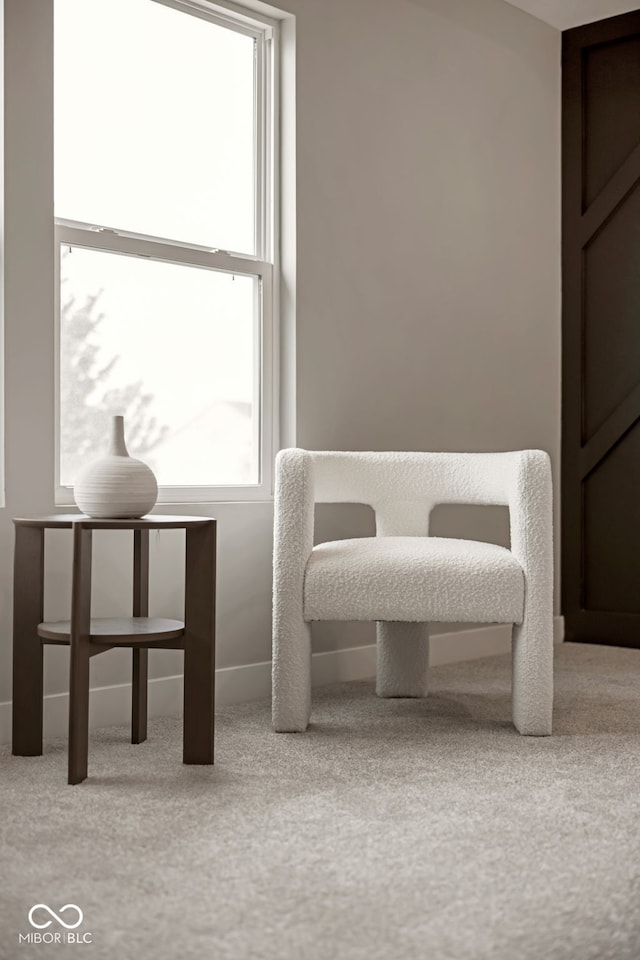 living area with baseboards and carpet floors