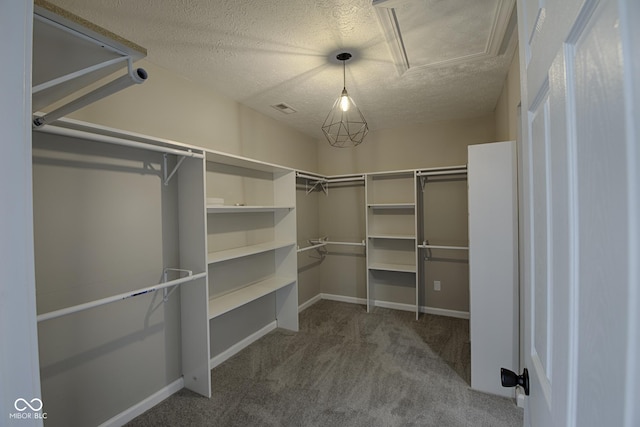 7835 Caswell St, Indianapolis, IN 46259 - photo 44
