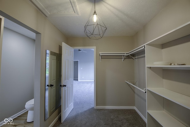 7835 Caswell St, Indianapolis, IN 46259 - photo 48