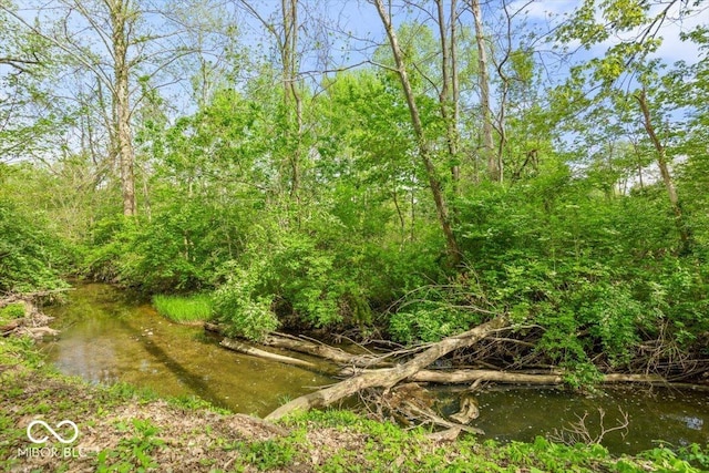 6682 English Dr, Avon, IN 46123 - view of local wilderness