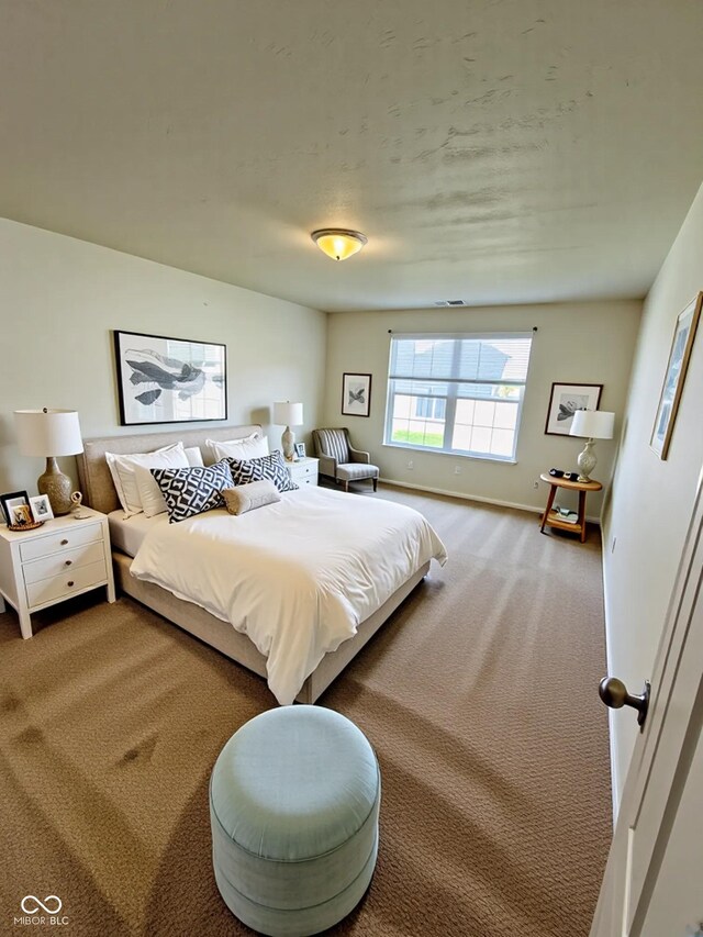 5313 Brandywine Dr, Whitestown, IN 46075 - carpeted bedroom with baseboards