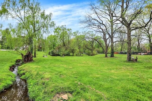 3975 Denwood Dr, Indianapolis, IN 46226 - view of grassy yard