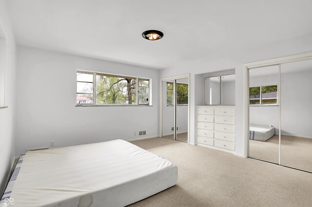 3975 Denwood Dr, Indianapolis, IN 46226 - bedroom featuring two closets, multiple windows, carpet flooring, and baseboards