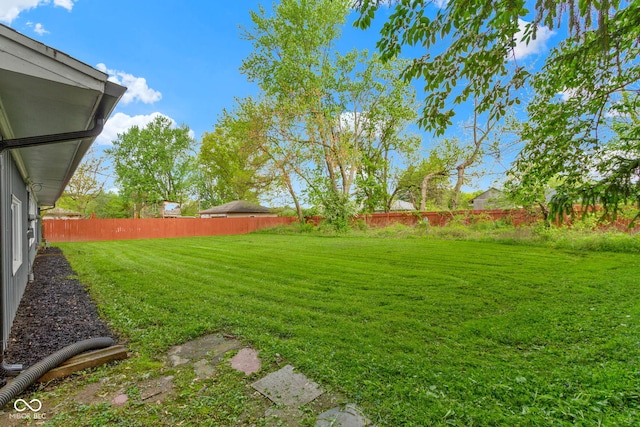 view of yard