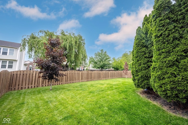 14030 Avalon E Dr, Fishers, IN 46037 - view of yard