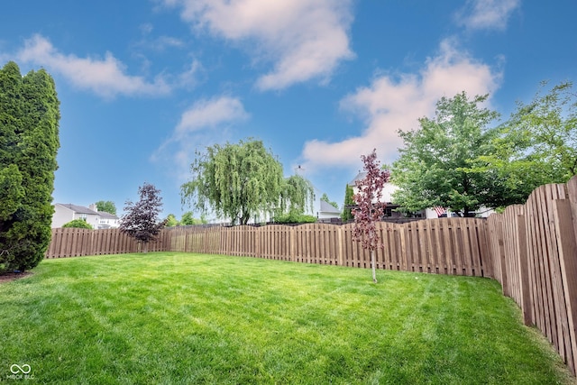 14030 Avalon E Dr, Fishers, IN 46037 - view of yard