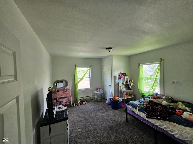 1222 Nichol Ave, Anderson, IN 46016 - bedroom featuring carpet flooring, multiple windows, and a textured ceiling