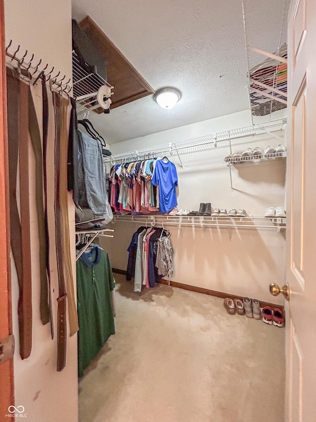 8798 Surrey Dr, Pendleton, IN 46064 - walk in closet featuring carpet flooring