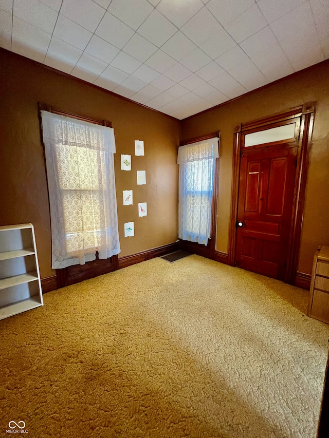 spare room with carpet floors