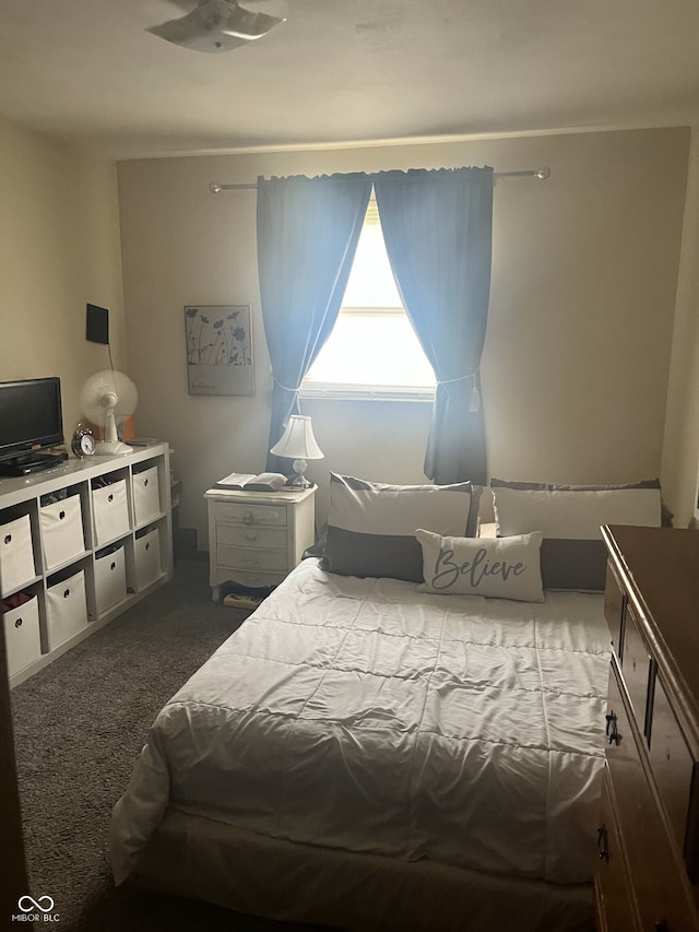 400-416 S Pennsylvania St, Greenfield, IN 46140 - bedroom with dark colored carpet