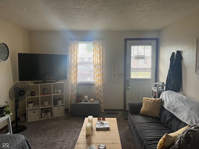400-416 S Pennsylvania St, Greenfield, IN 46140 - living area featuring carpet floors and a textured ceiling