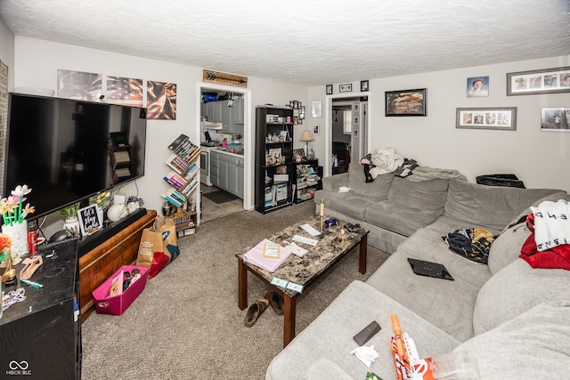 400-416 S Pennsylvania St, Greenfield, IN 46140 - carpeted living area with a textured ceiling