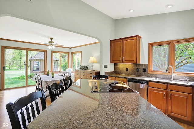11471 Clarkston Rd, Zionsville, IN 46077 - kitchen featuring stainless steel dishwasher, a sink, plenty of natural light, decorative backsplash, and crown molding