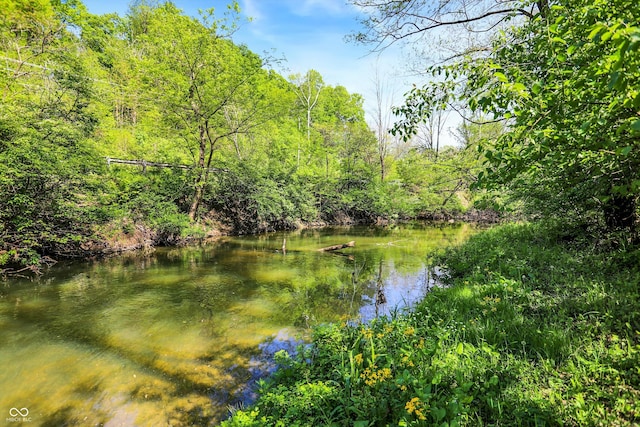11471 Clarkston Rd, Zionsville, IN 46077 - water view with a forest