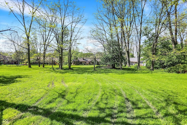 11471 Clarkston Rd, Zionsville, IN 46077 - view of grassy yard
