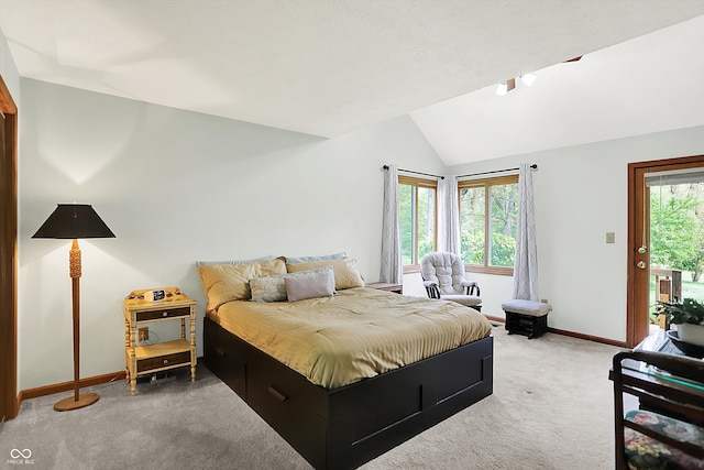 11471 Clarkston Rd, Zionsville, IN 46077 - bedroom with lofted ceiling, carpet flooring, baseboards, and access to outside
