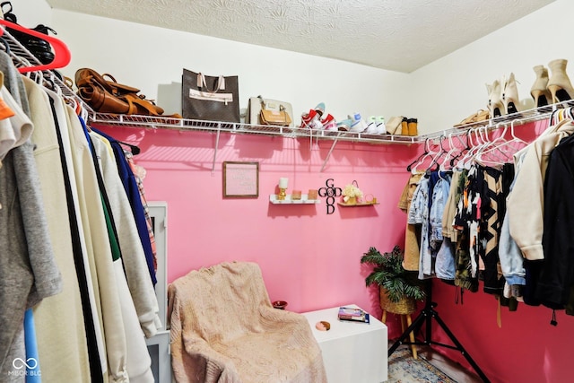 7045 Gavin Dr, Indianapolis, IN 46217 - view of walk in closet