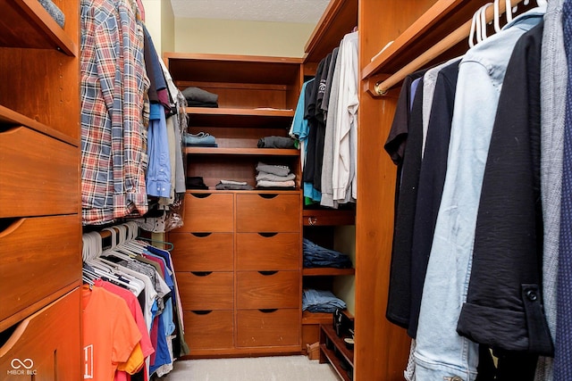 11319 Shoreview Ln, Indianapolis, IN 46236 - walk in closet with light colored carpet