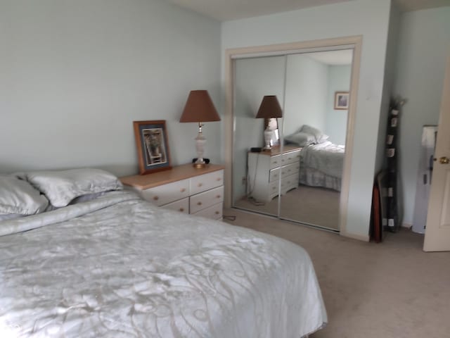 4719 Arabian Run, Indianapolis, IN 46228 - bedroom with light colored carpet and a closet