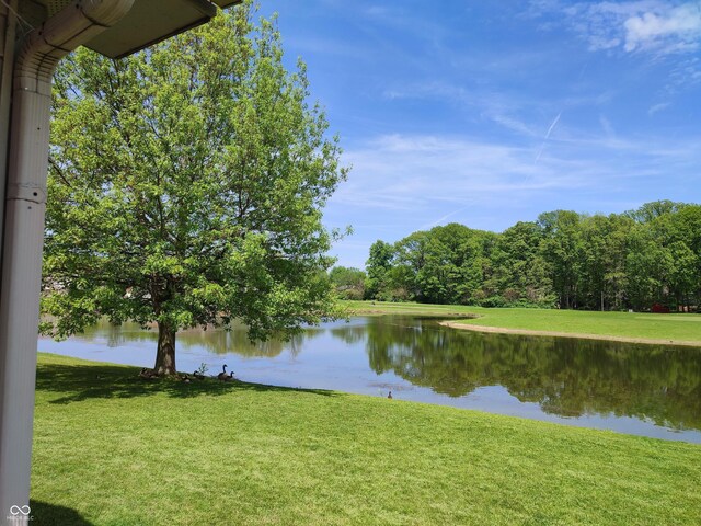 4719 Arabian Run, Indianapolis, IN 46228 - water view