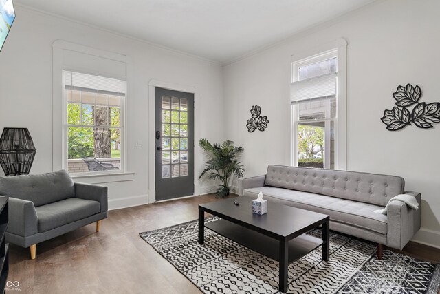 1728 N Delaware St, Indianapolis, IN 46202 - living room featuring crown molding, wood finished floors, and baseboards