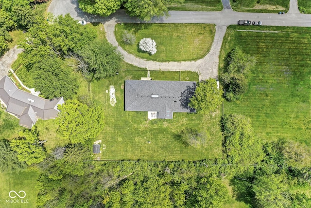 bird's eye view