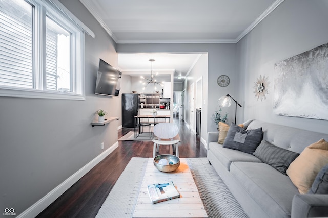 2407 N Capitol Ave, Indianapolis, IN 46208 - living room featuring dark wood-style floors, crown molding, a chandelier, and baseboards