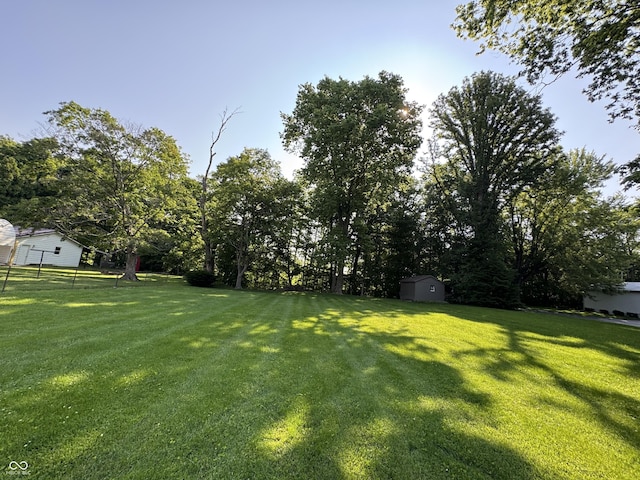 1314 E Orange Pike, Rushville, IN 46173 - view of green lawn featuring a storage unit