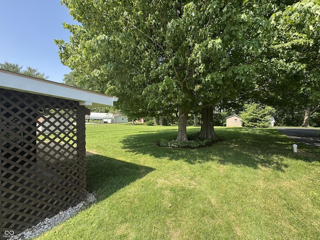 1314 E Orange Pike, Rushville, IN 46173 - view of green lawn
