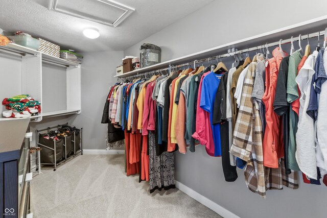 spacious closet featuring attic access and carpet floors