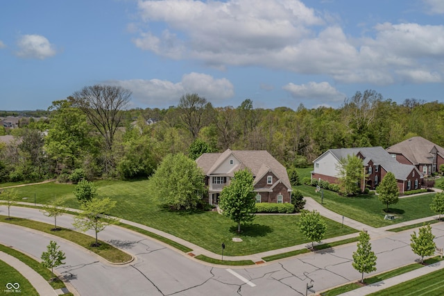 drone / aerial view