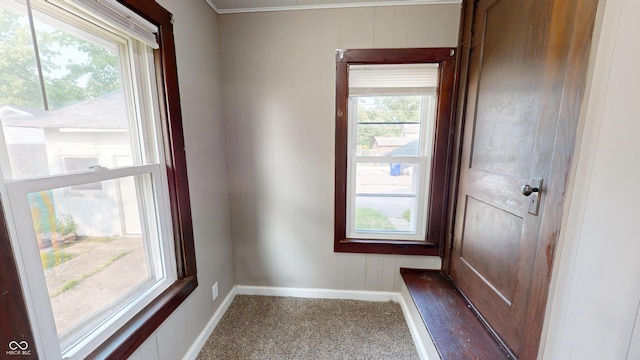1600 N Washington St, Kokomo, IN 46901 - doorway featuring carpet, plenty of natural light, and wood walls