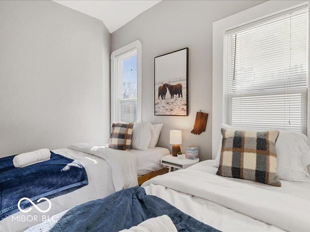 923 S State Ave, Indianapolis, IN 46203 - bedroom featuring lofted ceiling and multiple windows