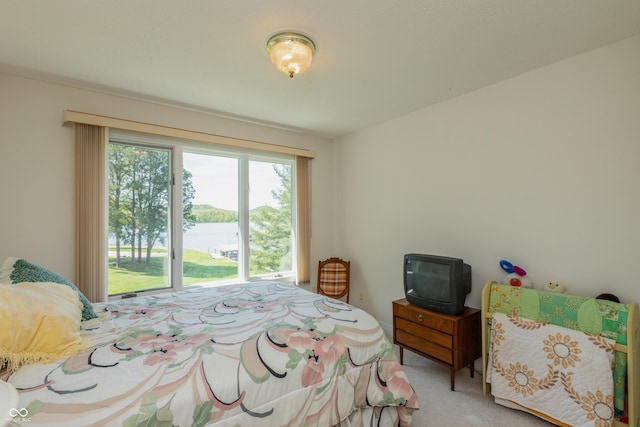 889 E N Shore Dr, Brownstown, IN 47220 - view of carpeted bedroom