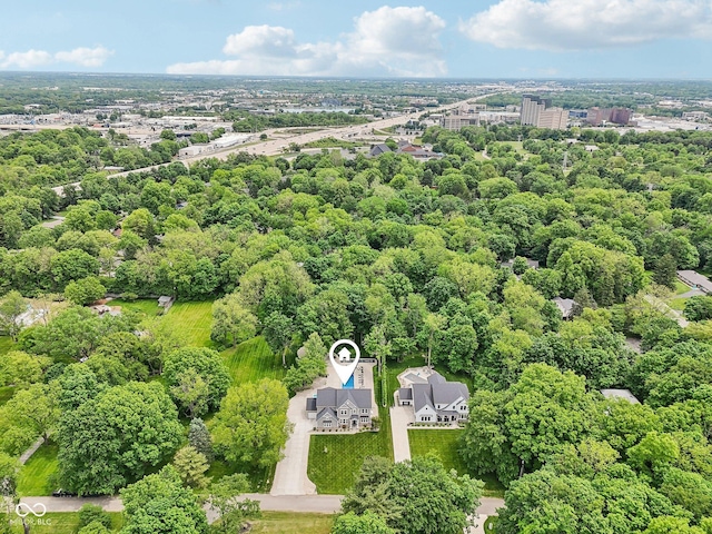 9155 Kerwood Dr, Indianapolis, IN 46240 - bird's eye view