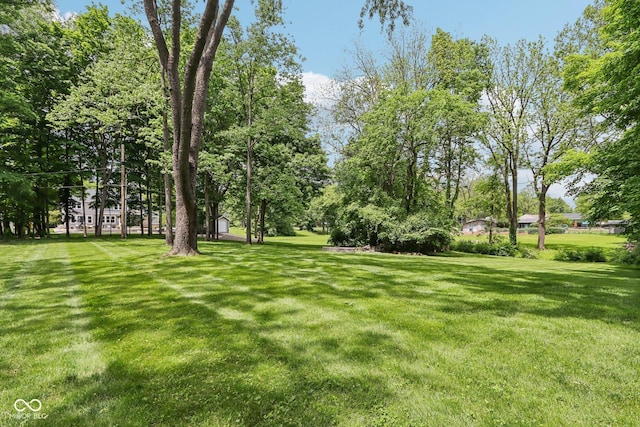 9155 Kerwood Dr, Indianapolis, IN 46240 - view of green lawn